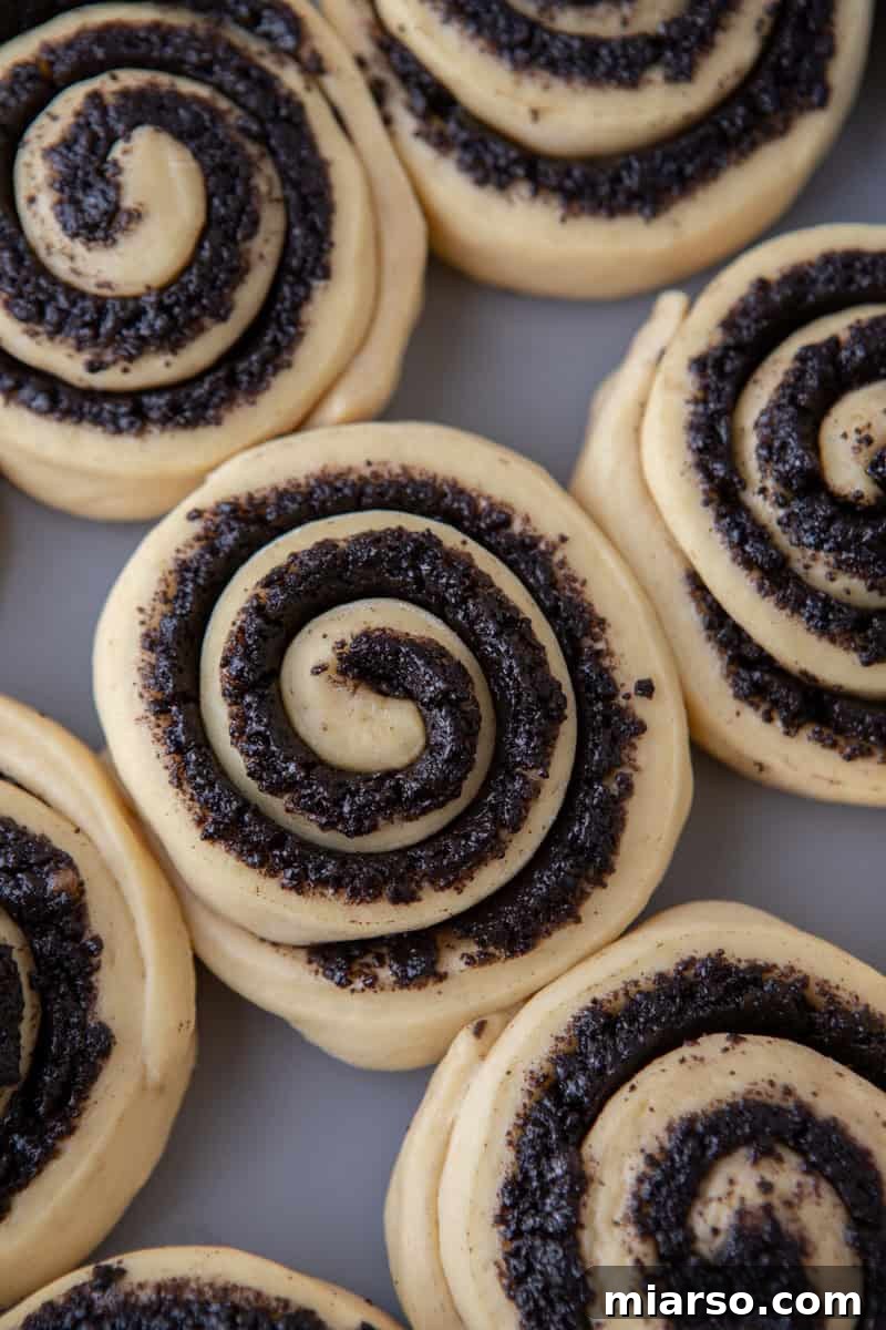 Oreo-Stuffed Cinnamon Rolls with Cream Cheese Glaze 10 Close-up of Oreo cinnamon roll dough swirls before baking