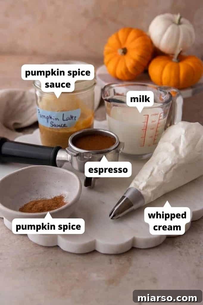Make a Copycat Starbucks Pumpkin Spice Latte at Home 3 Labeled ingredients for a homemade pumpkin spice latte including pumpkin sauce, espresso, milk and spice.